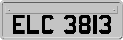 ELC3813