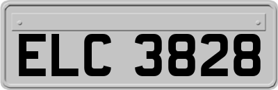 ELC3828