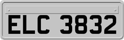 ELC3832