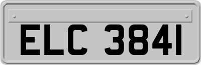ELC3841