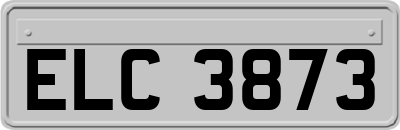 ELC3873