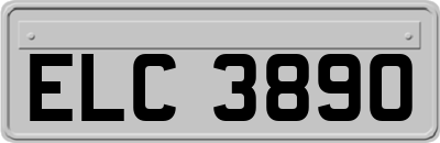 ELC3890