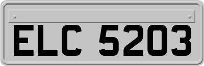 ELC5203