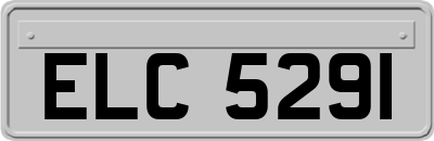 ELC5291