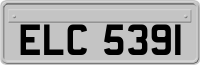ELC5391