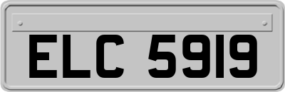 ELC5919