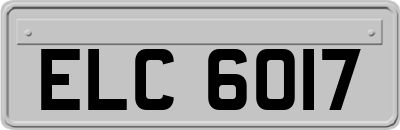 ELC6017