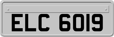 ELC6019