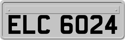ELC6024