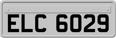 ELC6029