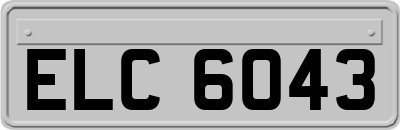 ELC6043
