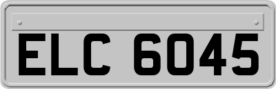 ELC6045