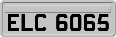 ELC6065