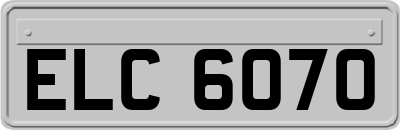 ELC6070