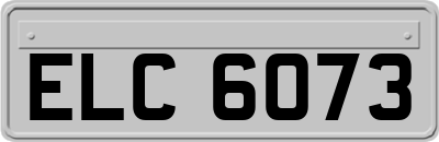 ELC6073