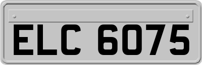 ELC6075