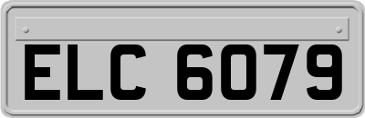 ELC6079