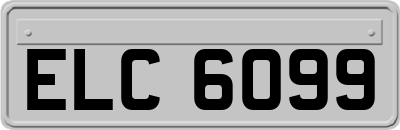 ELC6099