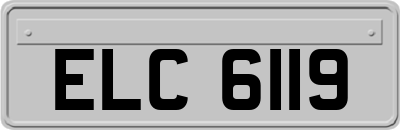ELC6119
