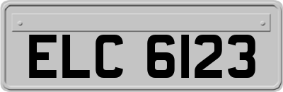 ELC6123