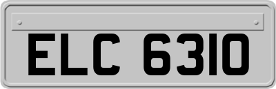 ELC6310