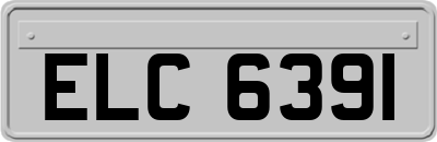 ELC6391