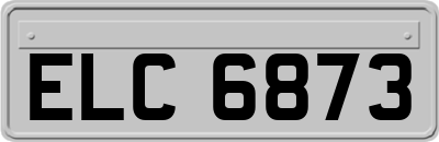 ELC6873