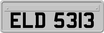 ELD5313