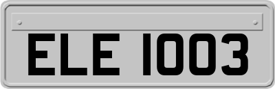 ELE1003