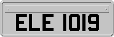 ELE1019