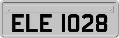 ELE1028