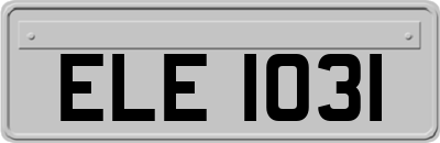 ELE1031
