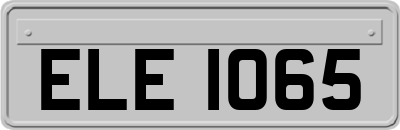 ELE1065