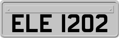 ELE1202
