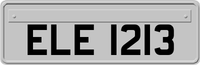ELE1213