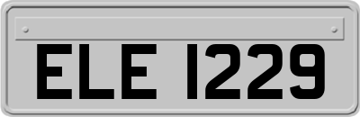 ELE1229
