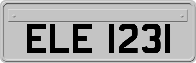 ELE1231