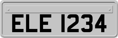ELE1234