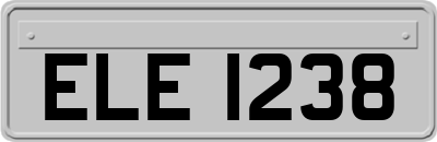 ELE1238