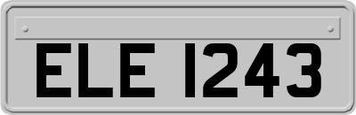 ELE1243