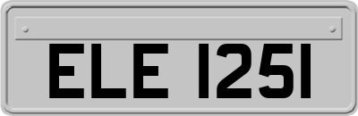 ELE1251