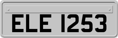 ELE1253
