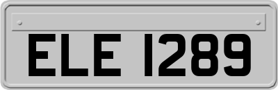 ELE1289