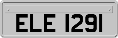 ELE1291