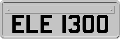 ELE1300