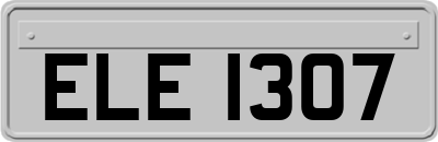 ELE1307