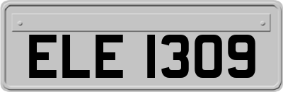 ELE1309