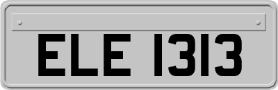 ELE1313