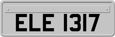 ELE1317