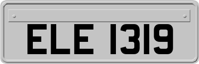 ELE1319